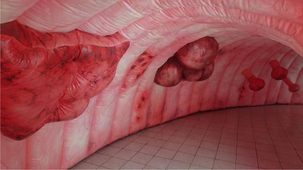 Se suspendió actividad prevista para este sábado 11 de agosto