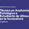 LLAMADO A TÉCNICO/A EN ANATOMÍA PATOLÓGICA (SUPLENTE) Y ESTUDIANTES DEL ÚLTIMO AÑO DE LA TECNICATURA DE ANATOMIA PATOLÓGICAMADO A ESTUDIANTE DE ÚLTIMO AÑO DE LA TECNICATURA EN ANATOMÍA PATOLÓGICA (SUPLENTE)